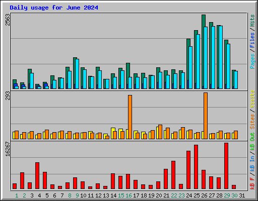 Daily usage for June 2024