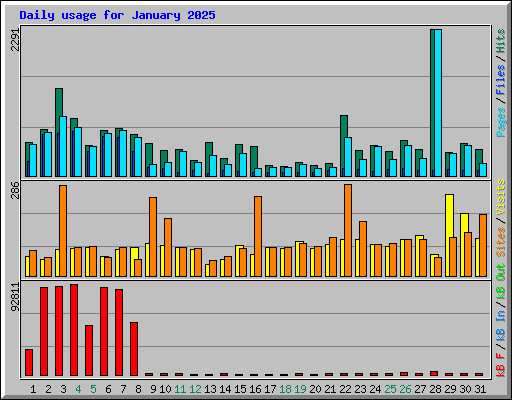 Daily usage for January 2025