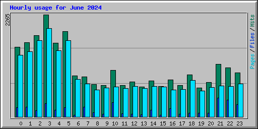 Hourly usage for June 2024