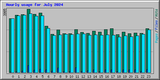 Hourly usage for July 2024