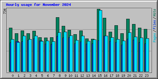 Hourly usage for November 2024