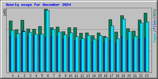 Hourly usage for December 2024