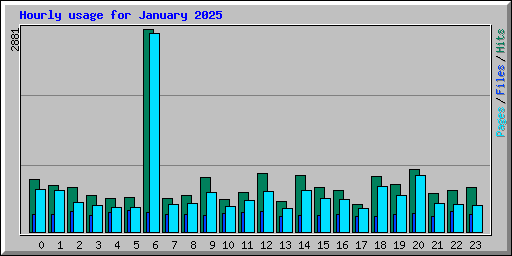 Hourly usage for January 2025