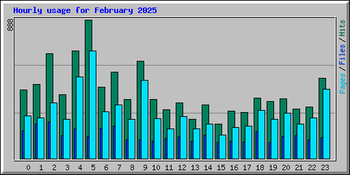 Hourly usage for February 2025