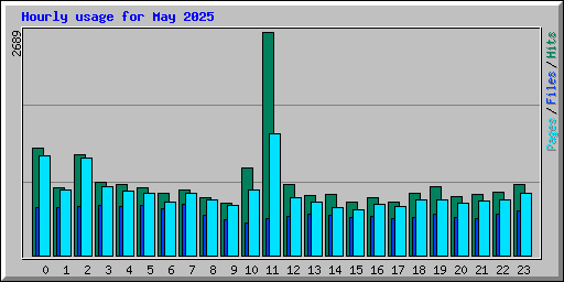 Hourly usage for May 2025