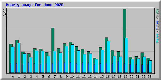 Hourly usage for June 2025