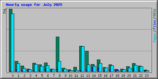 Hourly usage for July 2025