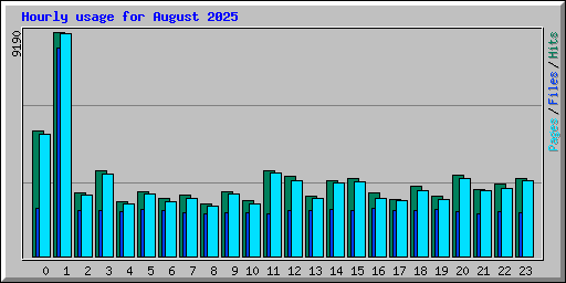Hourly usage for August 2025