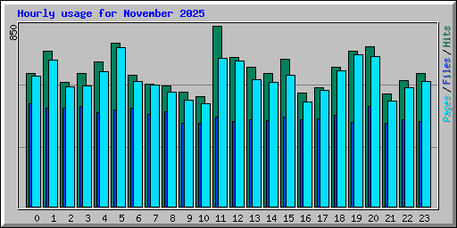 Hourly usage for November 2025
