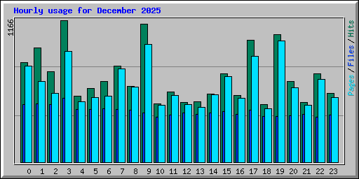 Hourly usage for December 2025