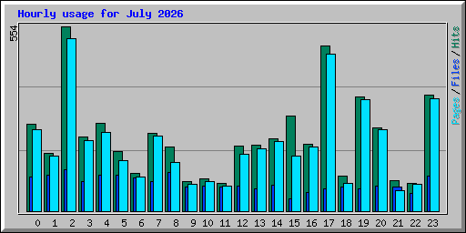 Hourly usage for July 2026