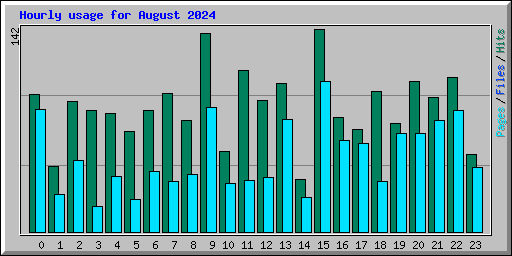 Hourly usage for August 2024