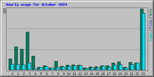 Hourly usage for October 2024