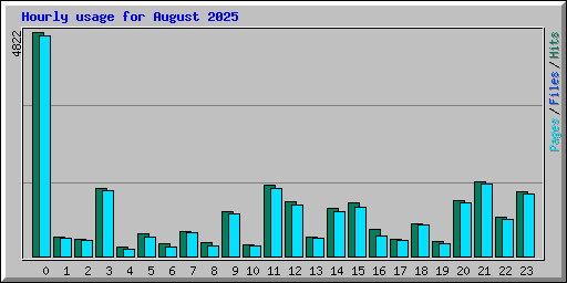 Hourly usage for August 2025