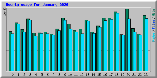 Hourly usage for January 2026